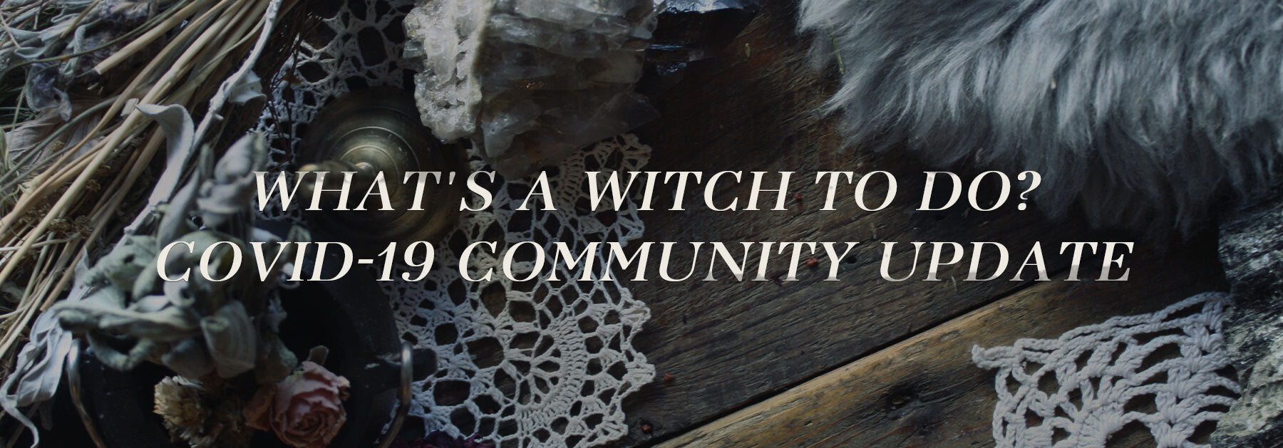 What's a Witch to Do? Covid-19 Community Update