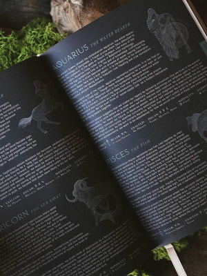 2026 Astrological Planners by Magic of I