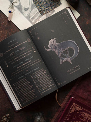 2027 Astrological Planners by Magic of I