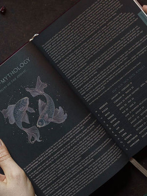 2027 Astrological Planners by Magic of I
