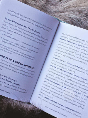 A Little Bit of Dreams