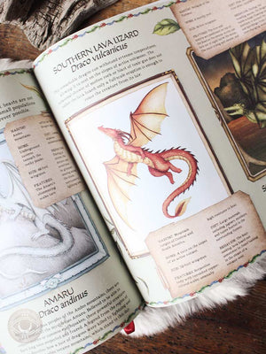 A Natural History of Dragons