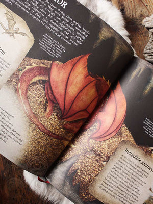 A Natural History of Dragons