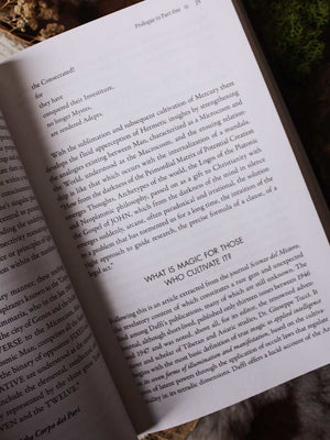 Alchemical Hermeticism - The Secret Teachings of Marco Daffi on Initiation