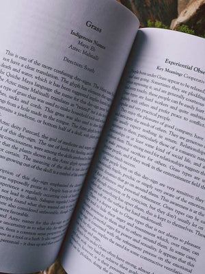 Day Signs - North American Astrology from Ancient Mexico