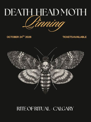 Death’s Head Hawkmoth Pinning Workshop - Oct 24 2026