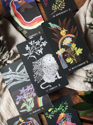 Dirt Gems - Plant Oracle Deck and Guidebook