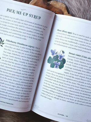 Enchanted Foraging - Wildcrafting for Herbal Remedies, Rituals, and a Magical Life