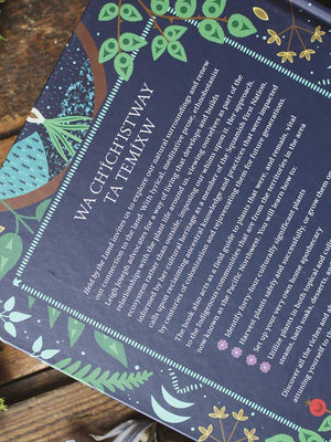 Held by the Land - A Guide to Indigenous Plants for Wellness