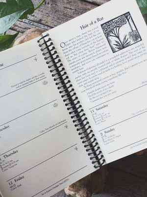 Llewellyn's 2026 Witches' Datebook