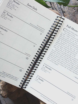 Llewellyn's 2026 Witches' Datebook