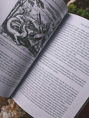 Mapping the Psyche Volume 1 - The Planets and the Zodiac Signs