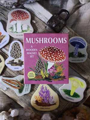 Mushrooms - A Wooden Magnet Set