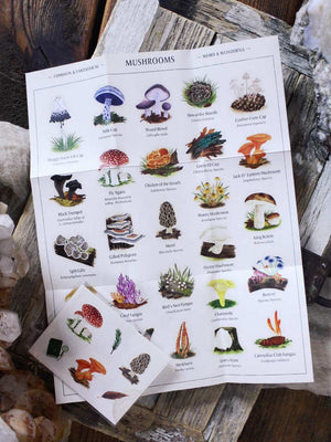 Mushrooms - A Wooden Magnet Set