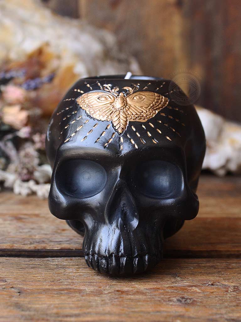 Nocturnal Magic Skull + Moth Candle Holder