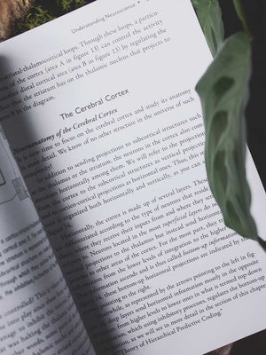 Psychedelics and Mental Health - Neuroscience and the Power of Psychoactives in Therapy