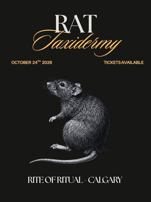 Rat Taxidermy Workshop - Oct 24 2026