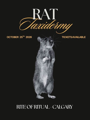 Rat Taxidermy Workshop - Oct 25 2026