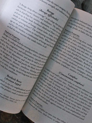 Runes for the Green Witch - A Herbal Grimoire