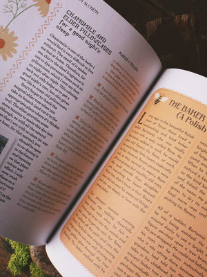 Slavic Kitchen Alchemy - Nourishing Herbal Remedies, Magical Recipes & Folk Wisdom