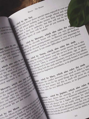 The Essentials of Vedic Astrology