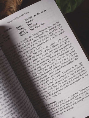 The Essentials of Vedic Astrology