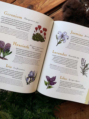 The Green Witch Illustrated - An Enchanting Immersion Into the Magic of Natural Witchcraft