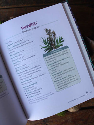 The Green Witch's Herb and Plant Encyclopedia - 150 Ingredients for Everyday Witchcraft