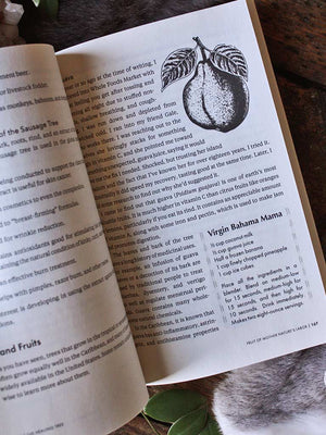 The Healing Tree - Botanicals, Remedies, and Rituals from African Folk Traditions