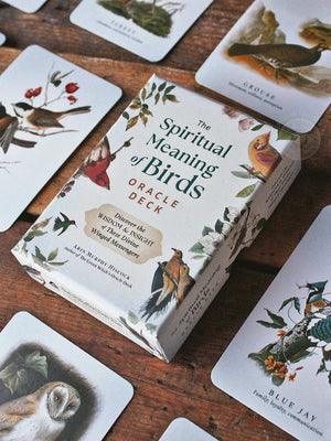 The Spiritual Meaning of Birds Oracle Deck