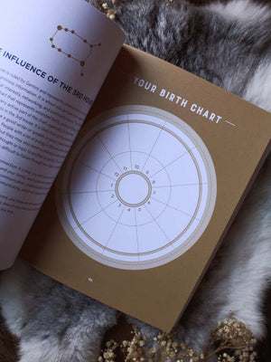 The Step-by-Step Astrology Workbook - What the Stars Want You to Know