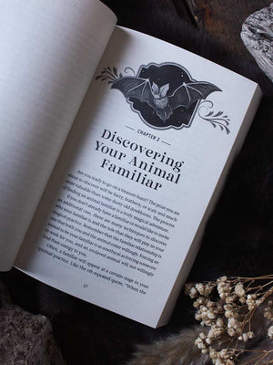 The Witch's Guide to Animal Familiars