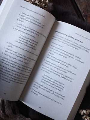 The Witch's Guide to Animal Familiars