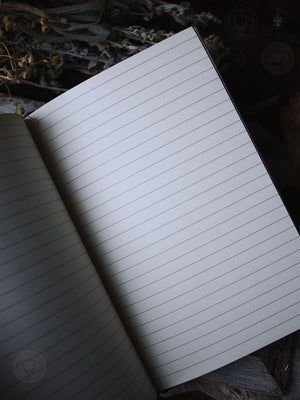 13th Press Marigold Tarot - Box Set