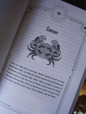 360 Degrees of Your Star Destiny - A Zodiac Oracle