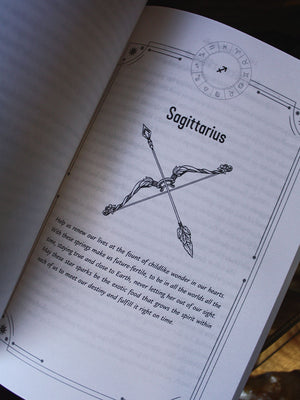 360 Degrees of Your Star Destiny - A Zodiac Oracle