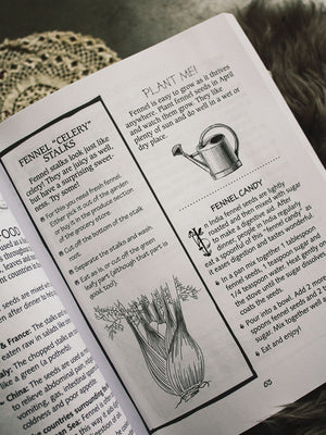 A Kid's Herb Book