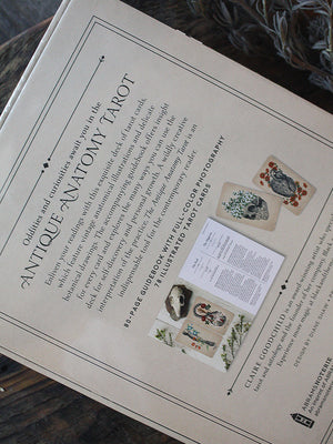 Antique Anatomy Tarot Kit