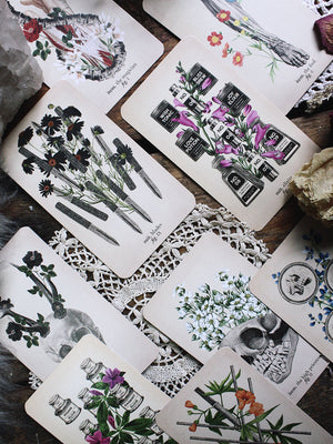 Antique Anatomy Tarot Kit