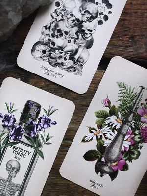 Antique Anatomy Tarot Kit