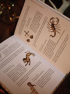 Astrotherapy - Discover How to Live Better and Move Forward in Life with Your Astral Theme