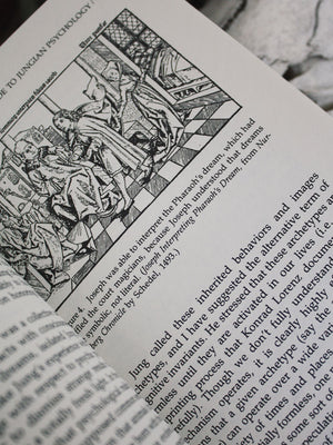 Beginners Guide to Jungian Psychology