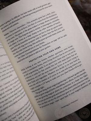 Blackthorn's Protection Magic - A Witch’s Guide to Mental and Physical Self-Defense