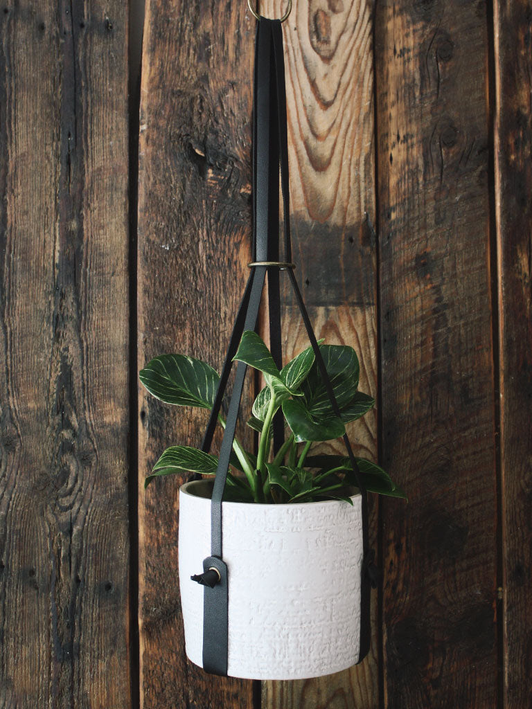 Buckled Up Vegan Leather Plant Hangers