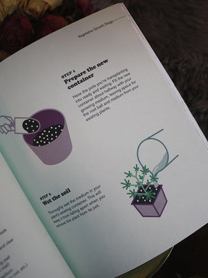 Cannabis - Beginners Guide to Growing