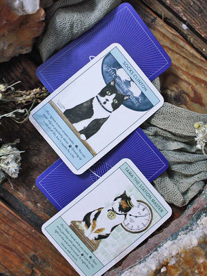 Cat Gurus - Wisdom from the World's Most Celebrated Felines