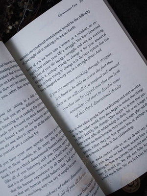 Conversations with the Z’s Book One - The Energetics of the New Human Soul