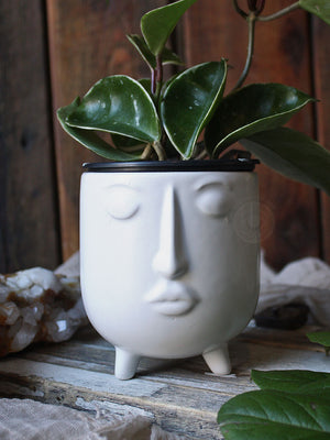 Daydreamer Ceramic Face Planters