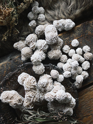 Desert Rose Selenite