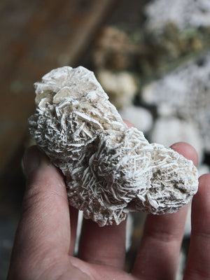 Desert Rose Selenite